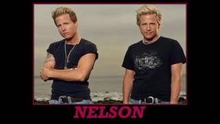 Nelson - You Call That A Mountain