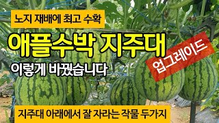 노지에서 더 강하고 오래 따는 애플수박 지주대 만들기 - 이렇게 바꿨습니다