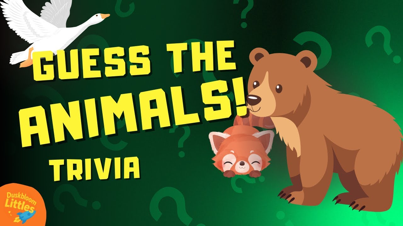 Can You Guess the Animal?