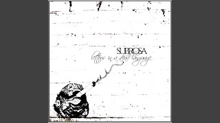 Cinderella&#39;s Shoe