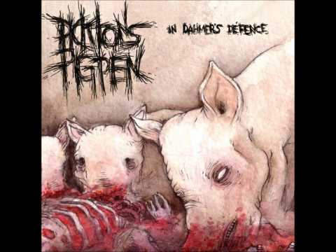Picktons Pig Pen - The Lady Killer