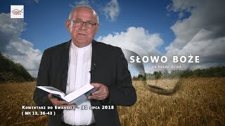 Komentarz do Ewangelii - 31 lipca 2018 (Mt 13, 36-43)