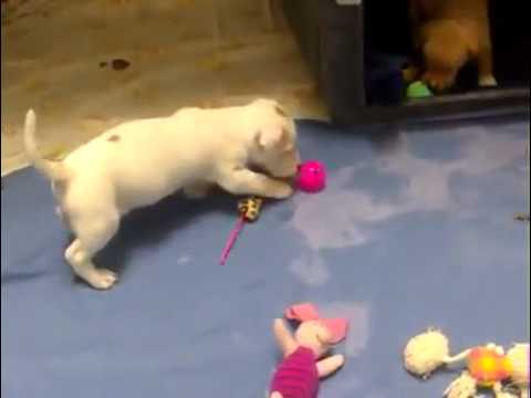 Enero,Granuja y Zarina 5