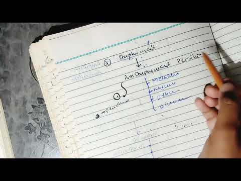 Cell Wall Inhibitors, Penicillin part 3, #pharma #lippincott #katzung #pharmacology #mbbslectures