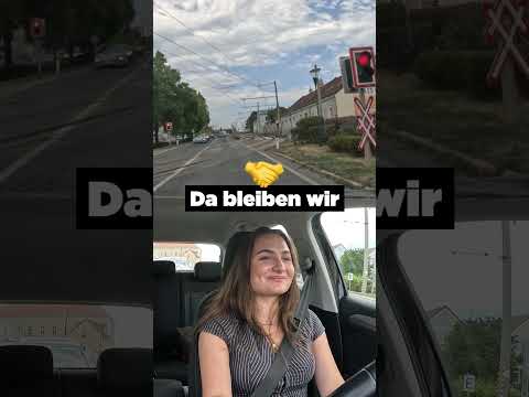 Wenn dein Fahrlehrer mitbremst und dich trotzdem lobt 😋😂