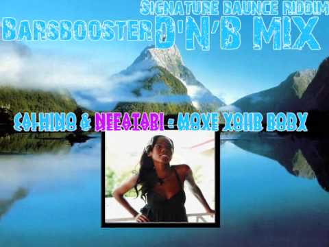 SIGNATURE BOUNCE RIDDIM D'N'B MIX