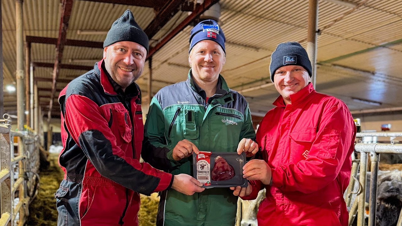 Fullfôrmikser kutter kostnader og øker kjøttproduksjonen