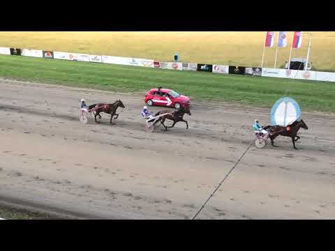 Trka "Subotičke novine-Subotica" 20.06.2020 Billie Holiday A.T. - Petar Knekt