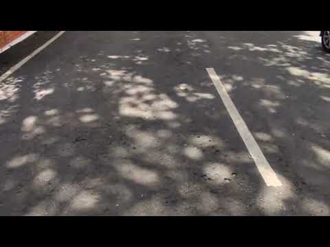 Ananda College  #lastday