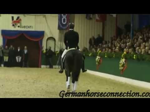 Grey Flanell at Vechta Feb 15 2015