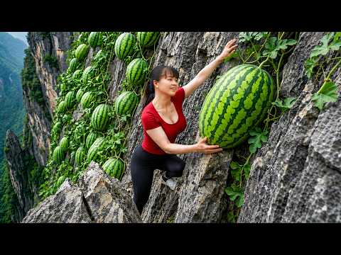 Harvesting 999+KG of Red Watermelons to Sell at the Market | 999+ كغ بطيخ أحمر للبيع