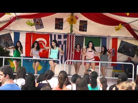 Festival in Fellbach Stuttgart(GERMANY)