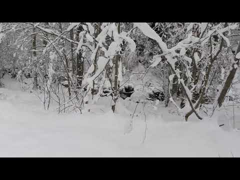 Tot pe Muntii Banatului