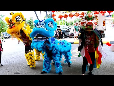 Blue Lion Dance