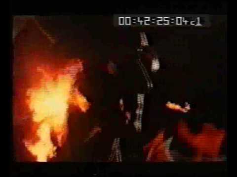 Beargarden - Drink Drink Drink 7"