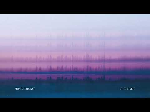 Moontricks - Birdtimes