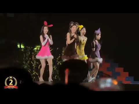 RedVelvet "REDMARE" in JAPANｰ Zoo ｰ