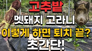 야생동물 퇴치 방지망 저렴하고 간편 설치, 해태망 멧돼지 고라니 퇴치