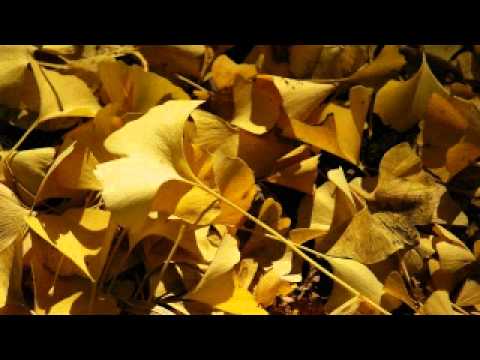 +++Sathiya bin tere dil +++ Jhankar faisal