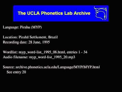 Pirahã audio: myp_word-list_1995_20