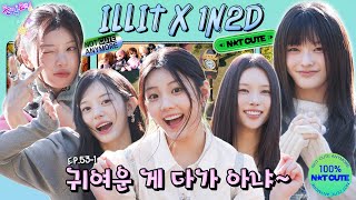 Download lagu [SUB] EP.53-1 ILLIT | The long-awaited team dinner day after 1 year🍴 We’re REALLY not cute💥 mp3