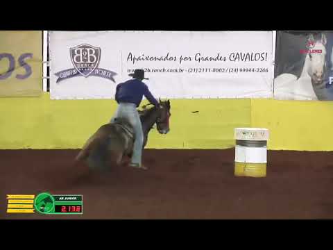 Captiva Six x Renan Gruman - campeoes AQHA Ab. Jr. 2018