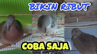 Download lagu Pagi Sampai Malam Derkukumu Langsung Nyaut Didengarkan Suara Ini mp3