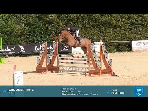 CROONER TAME (CONRAD x QUAPRICE BOIS MARGOT) - Auvers