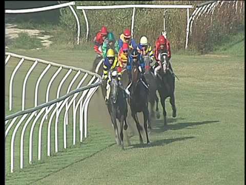 Galoppo 09/08/2017 - 2ª corsa