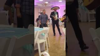 Vengo a Ver- Mariachi Azteca Waco, TX