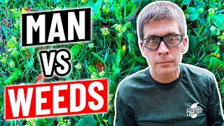 How to Fix a Lawn Full of WEEDS - DIY Weed Control