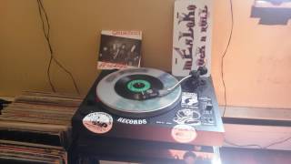 GIRLSCHOOL - WILDLIFE