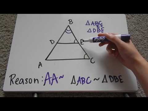 Triangle Similarity Tutorial