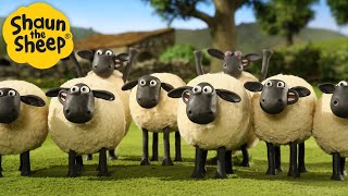 Best Sheep Episodes 🐑 Shaun the Sheep 🐑 - Cartoons for Kids 🐑 Full Episodes Compilation [1 hour]