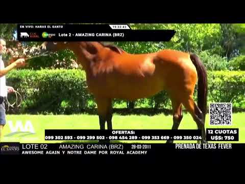 SINT FLORIDA 24 DE FEBRERO 2022 - WWW.MARONASONLINE.COM