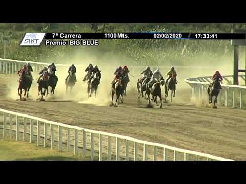 02/02/2020 – Hipodromo Colonia – Carr 7 – BIG BLUE