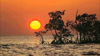 David Sanborn with Norman Brown Spider B (Time Again)