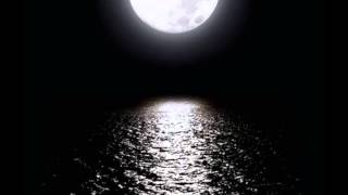 Kispál és a borz - Ufo