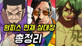 원피스 현재 삼대장 총정리