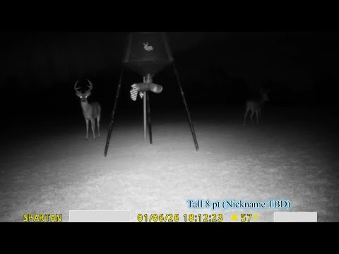 Farm & Wildlife Vlogs #1: Post-Hunting Season Assessment and Management