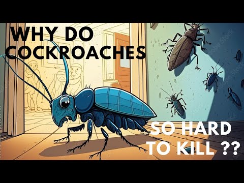 Why do cockroaches so hard to kill ??