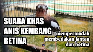 Download lagu distinguishing male and female flower anis from their voices mp3