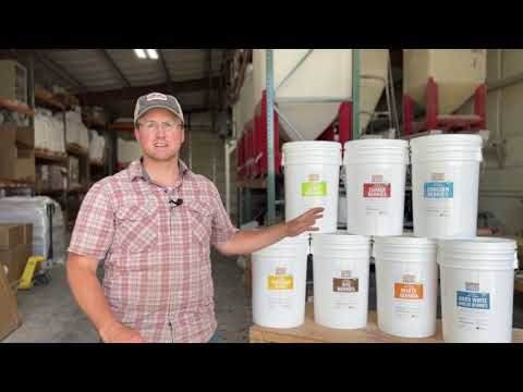 Ancient Grains for Long-Term Food Storage - Organic Wheat in Super Pails