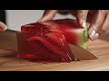 Slicing A Crystal Jelly Watermelon Ultra Satisfying Macro ASMR