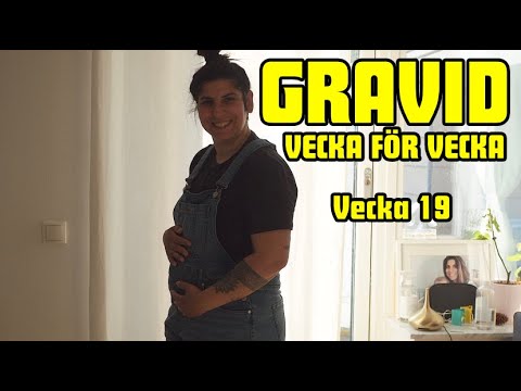 GRAVID VECKA FÖR VECKA -  Vecka 19