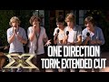 One Direction's EXTENDED 'TORN' PERFORMANCE from Judges' Houses | The X Factor UK