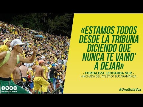 Callejeros - Fortaleza Leoparda Sur | Letra