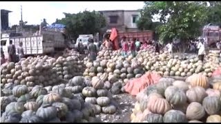 Amazing Wholesale Vegetable Market In A Village In West Bengal, India | Huge Village Market