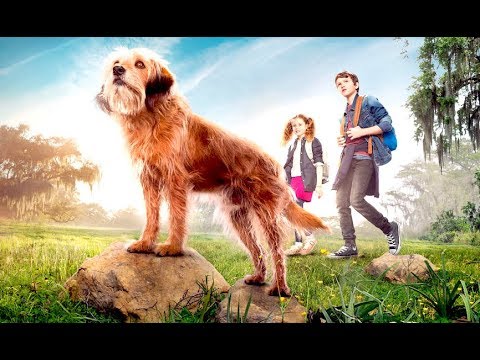 BENJI (Trailer epsañol)