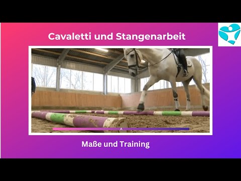 Stangen/Cavaletti Welcher Abstand ?